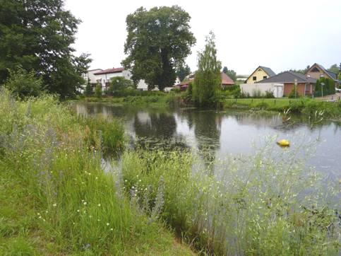 2012-07-07_1810__5520R Eberswalde, Germany.JPG