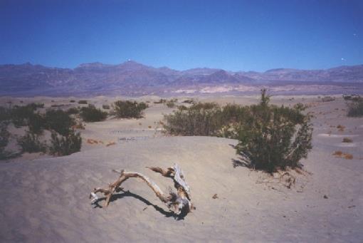 2002-02-25 5 Sand dunes near Stovepipe Wells, Death Valley, California