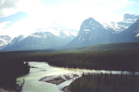 2002-06-12 13 Athabasca River with Mt Christie & Mt Brussels, Alberta