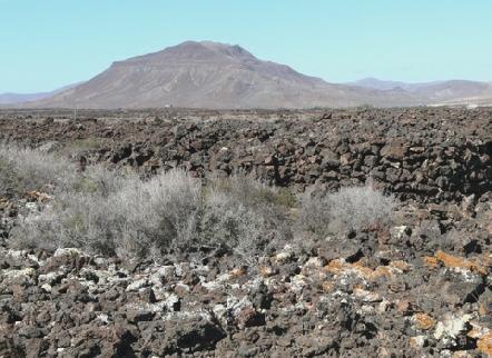 2014-02-08_1218__12446A Lava at Poblado de la Atalayita, Fuerteventura