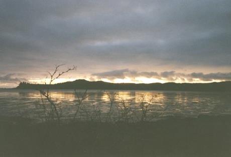 2002-03-30 5 Willapa Bay in the evening light, Washington State